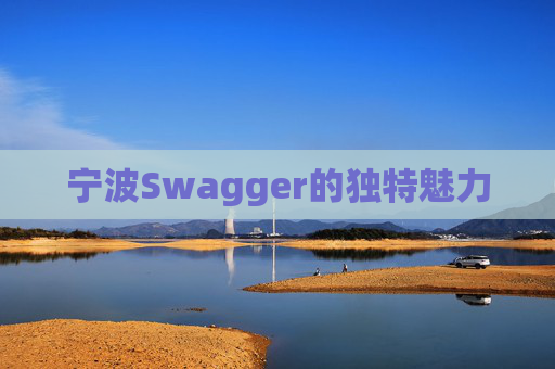 宁波Swagger的独特魅力